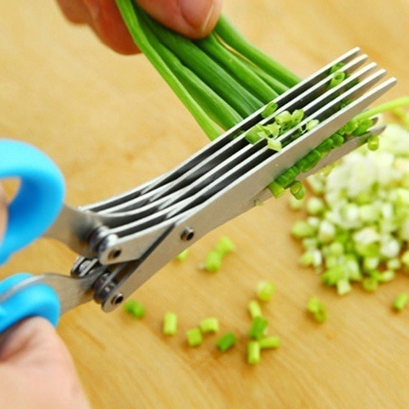 Multi-Layers Kitchen Herb Scissors , 5 Blade Kitchen Shears Scallion Cutter Laver Spices Herb Spice Kitchen Slicer Shredded Scallion Chive Cutter for Cutting Cilantro Onion Salad Garden Herbs
